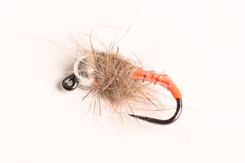 Tungsten BH Czech Caddis, 6-Pack