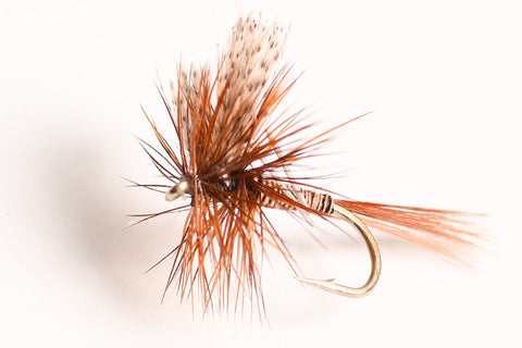 Red Quill Dry Fly, 6-Pack