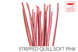 Polish Stripped Peacock Quills soft pink