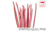 Polish Stripped Peacock Quills pink