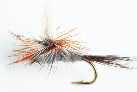 adams parachute dry fly