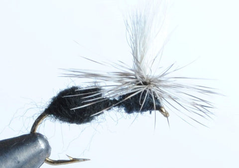parachute ant fly