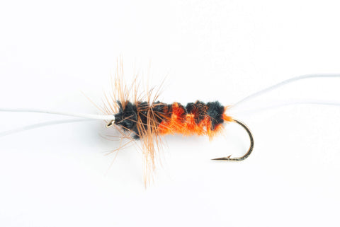 Bitch Creek Nymph Fly, 6-Pack orange