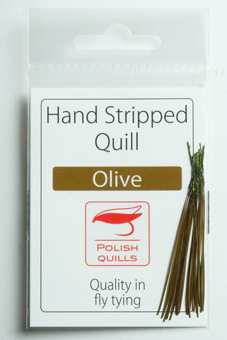 Polish Stripped Peacock Quills package