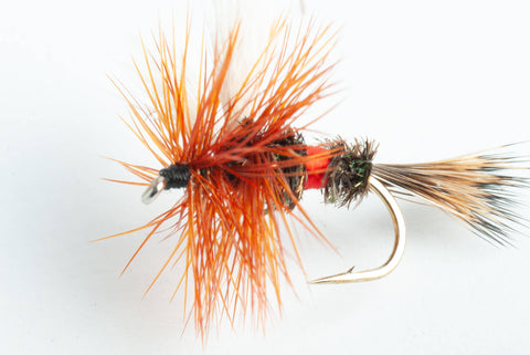 royal wulff dry fly