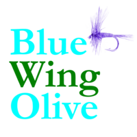 Blue Wing Olive logo