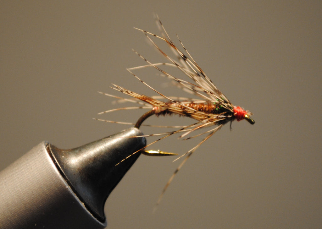 Pheasant Tail Soft Hackle