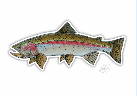 Casey Underwood Decals - Rainbow Trout