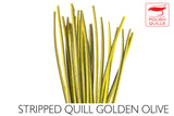 Polish Stripped Peacock Quills golden olive