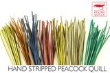 Polish Stripped Peacock Quills