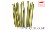 Polish Stripped Peacock Quills olive