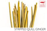 Polish Stripped Peacock Quills ginger