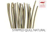 Polish Stripped Peacock Quills natural