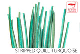 Polish Stripped Peacock Quills turquoise