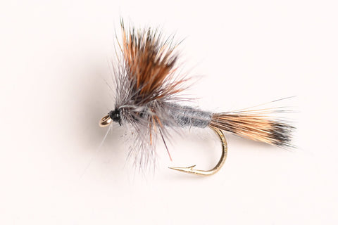 Gray Wulff Dry Fly, 6-Pack