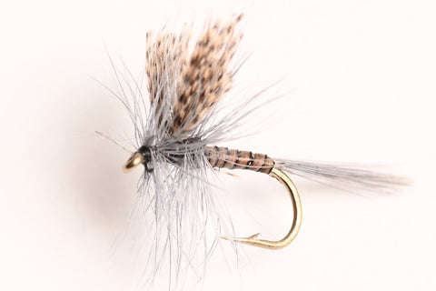 Quill Gordon Dry Fly, 6-Pack