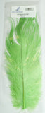 Natures Spirit Ostrich Plume, 10" to 12" lime