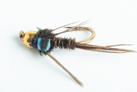 Bead Head Flashback Pheasant Tail Nymph Fly - 6-Pack #18