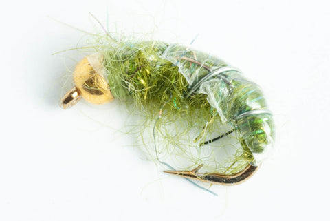 Bead Head Czech Mate Nymph Fly, 6-Pack - Olive