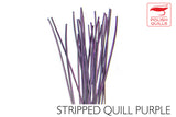Polish Stripped Peacock Quills purple
