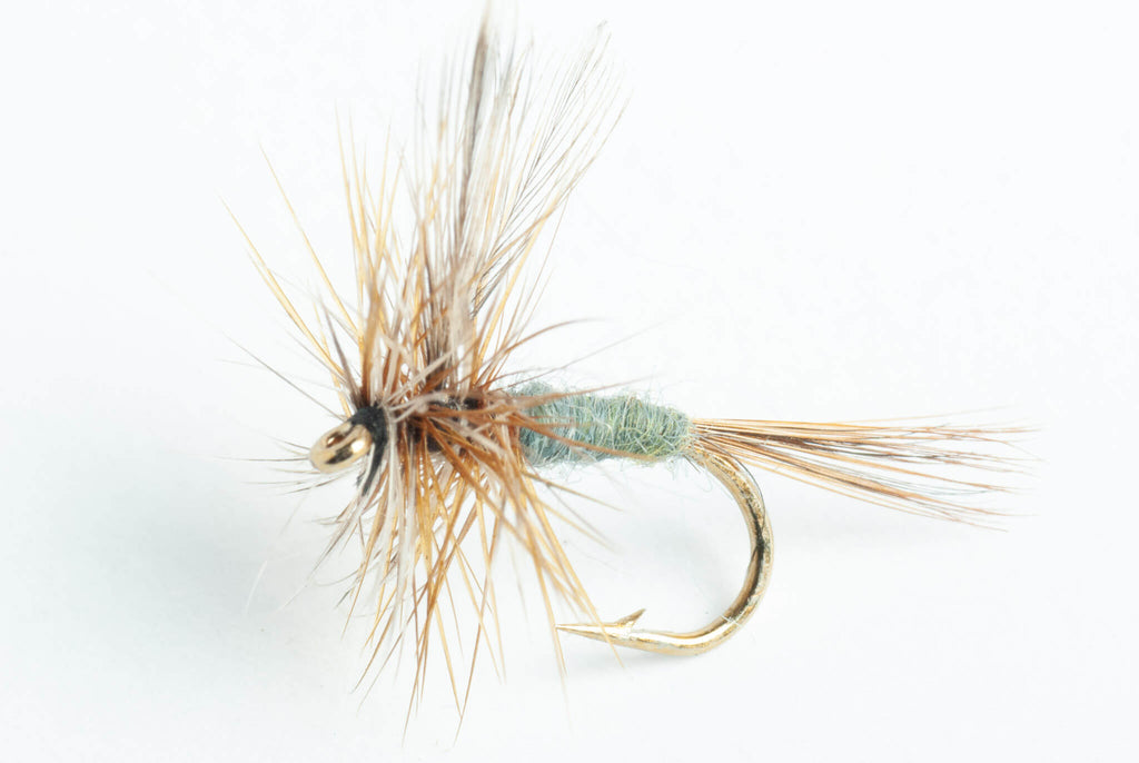 Adams Dry Fly, 6-Pack #24 Adams Dry Fly, 6-Pack #24