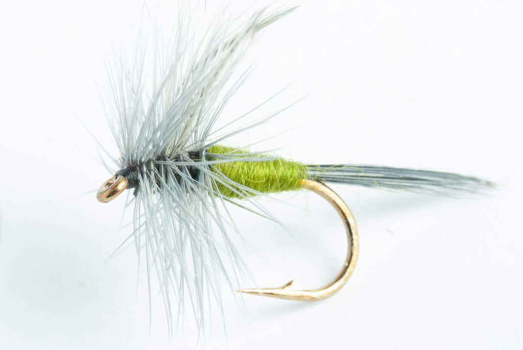 Blue-winged Olive (BWO) Dry Fly, 6-Pack – Blue Wing Olive