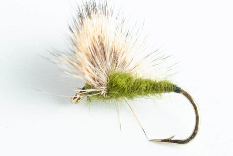 blue-winged olive comparadun dry fly