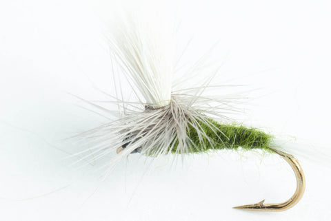 blue-winged Olive (BWO) parachute dry fly