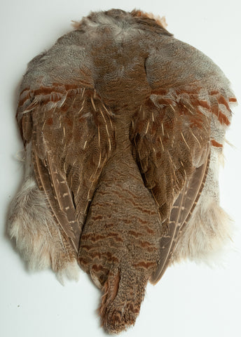 Premium Hungarian Partridge Skin, Natural