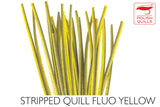 Polish Stripped Peacock Quills yellow