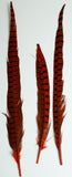 Natures Spirit Ringneck Pheasant Side Tails orange