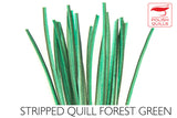 Polish Stripped Peacock Quills forest green