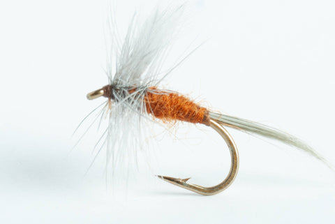 Mahogany Dun Dry Fly,