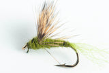 sparkle dun dry fly olive