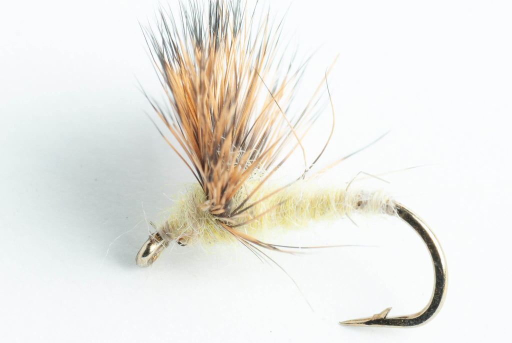 Mosca Pesca Comparadun / Dun Secca 16 Confezione Gratis Fly Scatola #311 Mosca Pesca Comparadun / Dun Secca 16 Confezione Gratis Fly Scatola #311